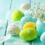 spring-easter-flowers-eggs